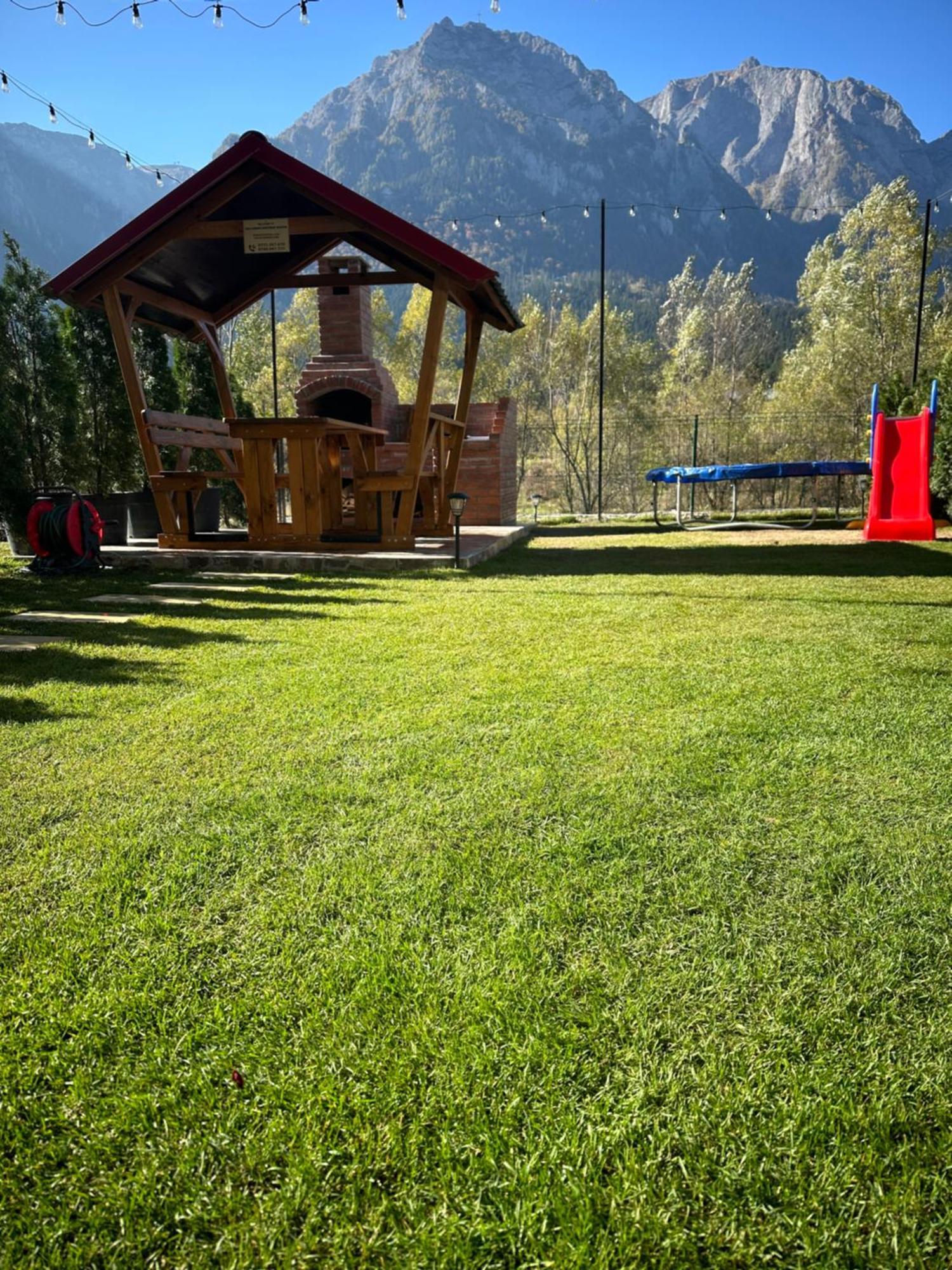 Ama Garden Apartment Buşteni Exterior foto
